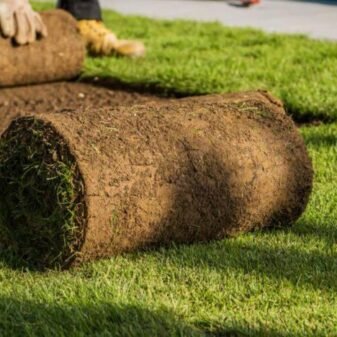 What-is-sod What-is-sod
