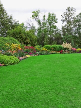 Green Lawn in Landscaped Formal Garden Green Lawn in Landscaped Formal Garden
