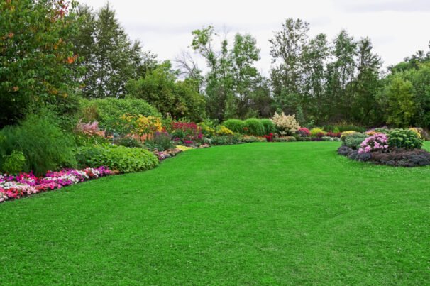 Green Lawn in Landscaped Formal Garden Green Lawn in Landscaped Formal Garden