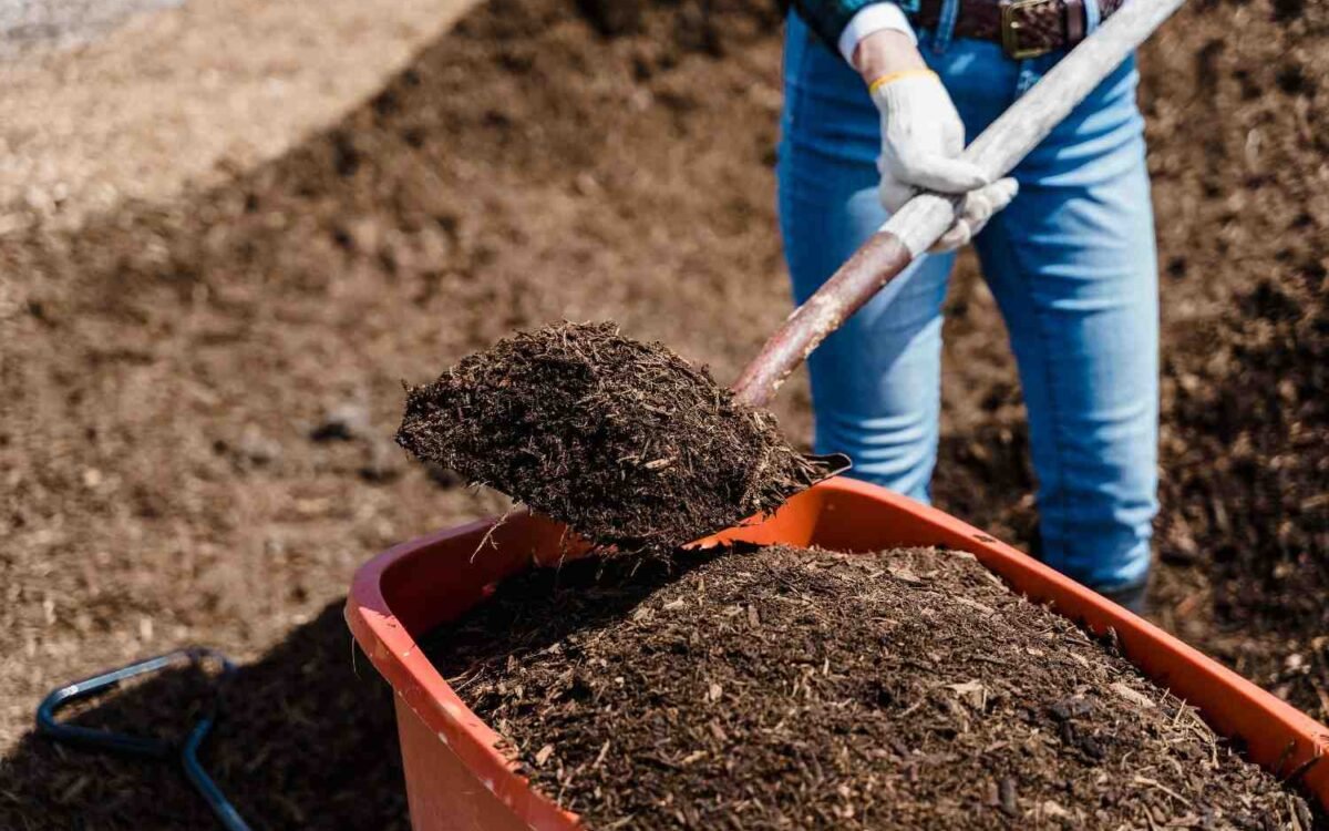 Mulch
