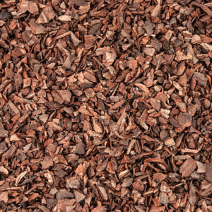 Pine Bark