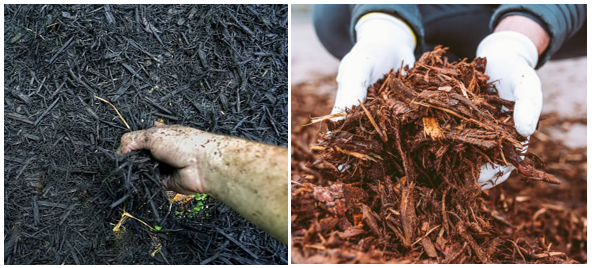 Black Mulch vs Brown Mulch