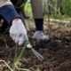 Complete Guide to Mulch Installation for Jacksonville Landscapes Complete Guide to Mulch Installation for Jacksonville Landscapes