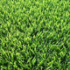 zoysia grass sod in Jacksonville, FL zoysia grass sod in Jacksonville, FL